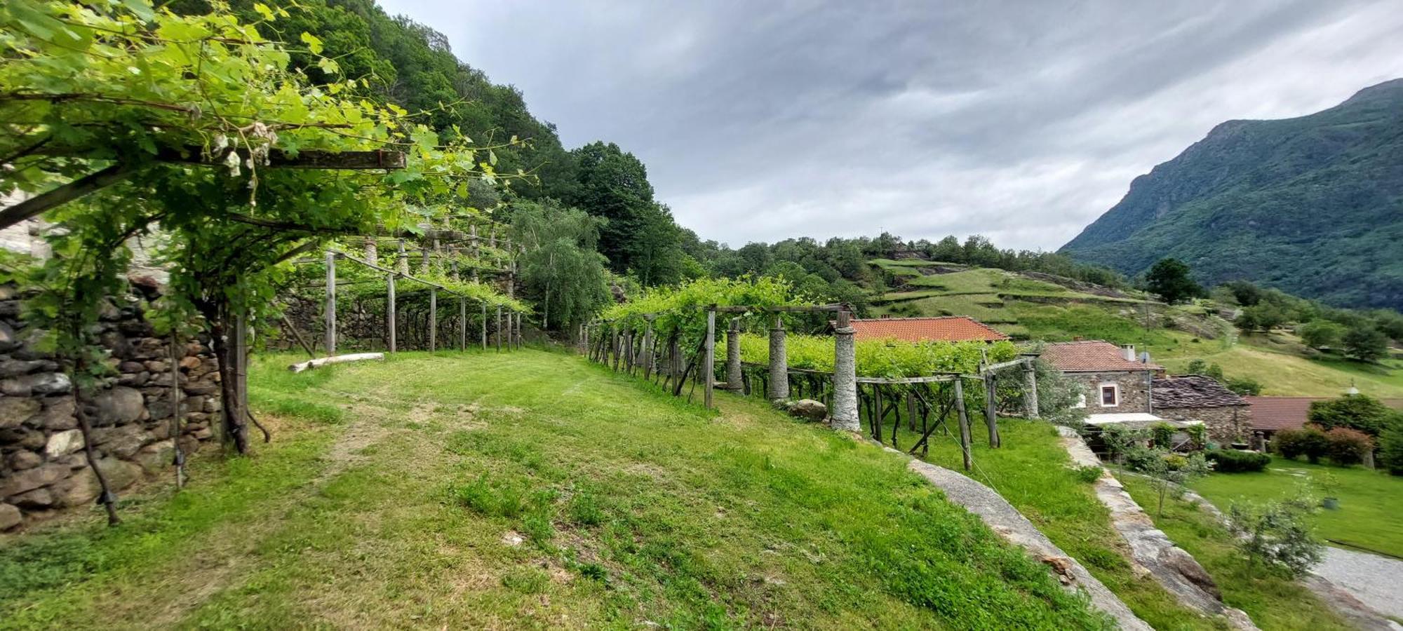 Relais del Brigante Bed & Breakfast Settimo Vittone Bagian luar foto