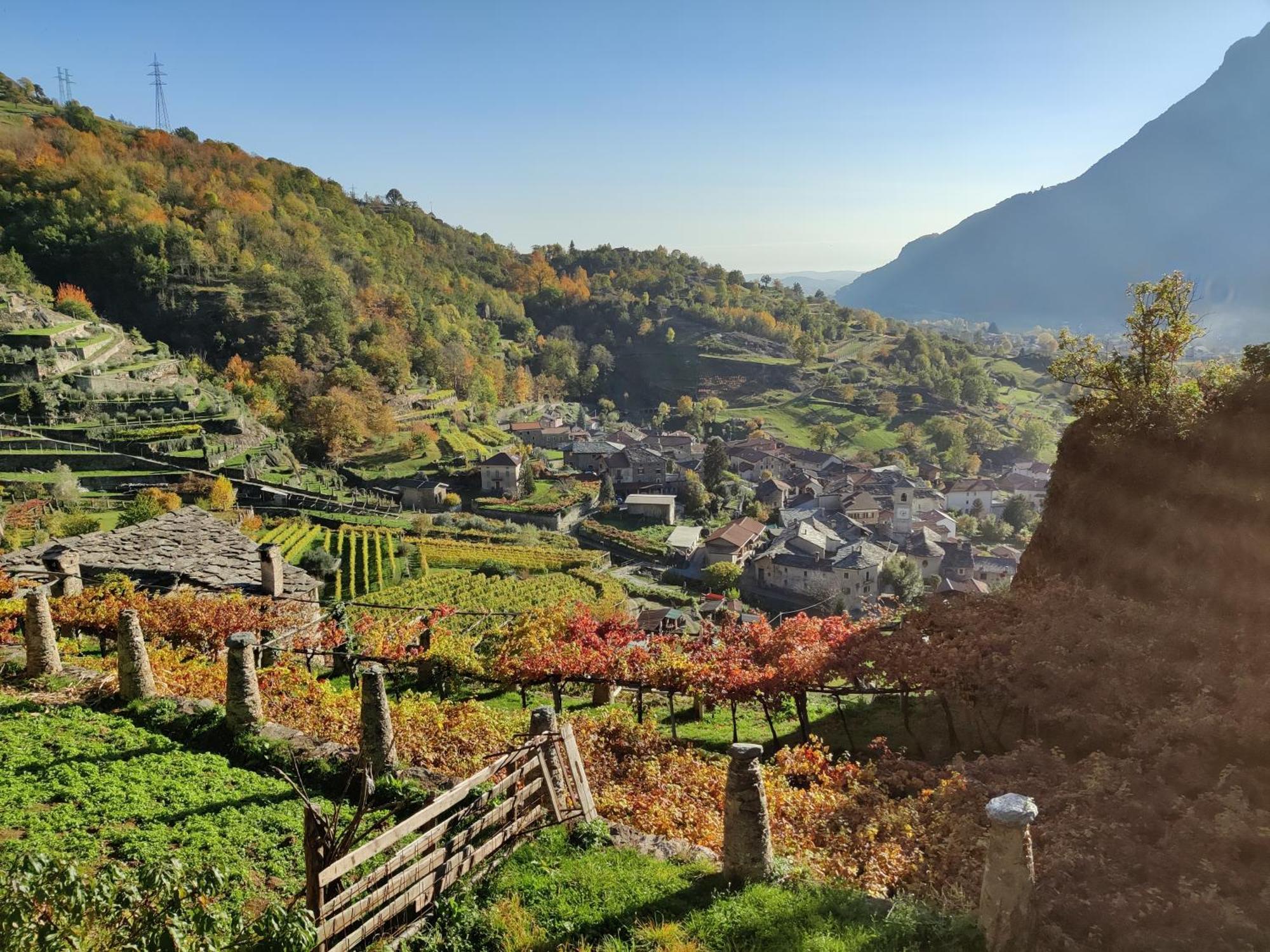 Relais del Brigante Bed & Breakfast Settimo Vittone Bagian luar foto