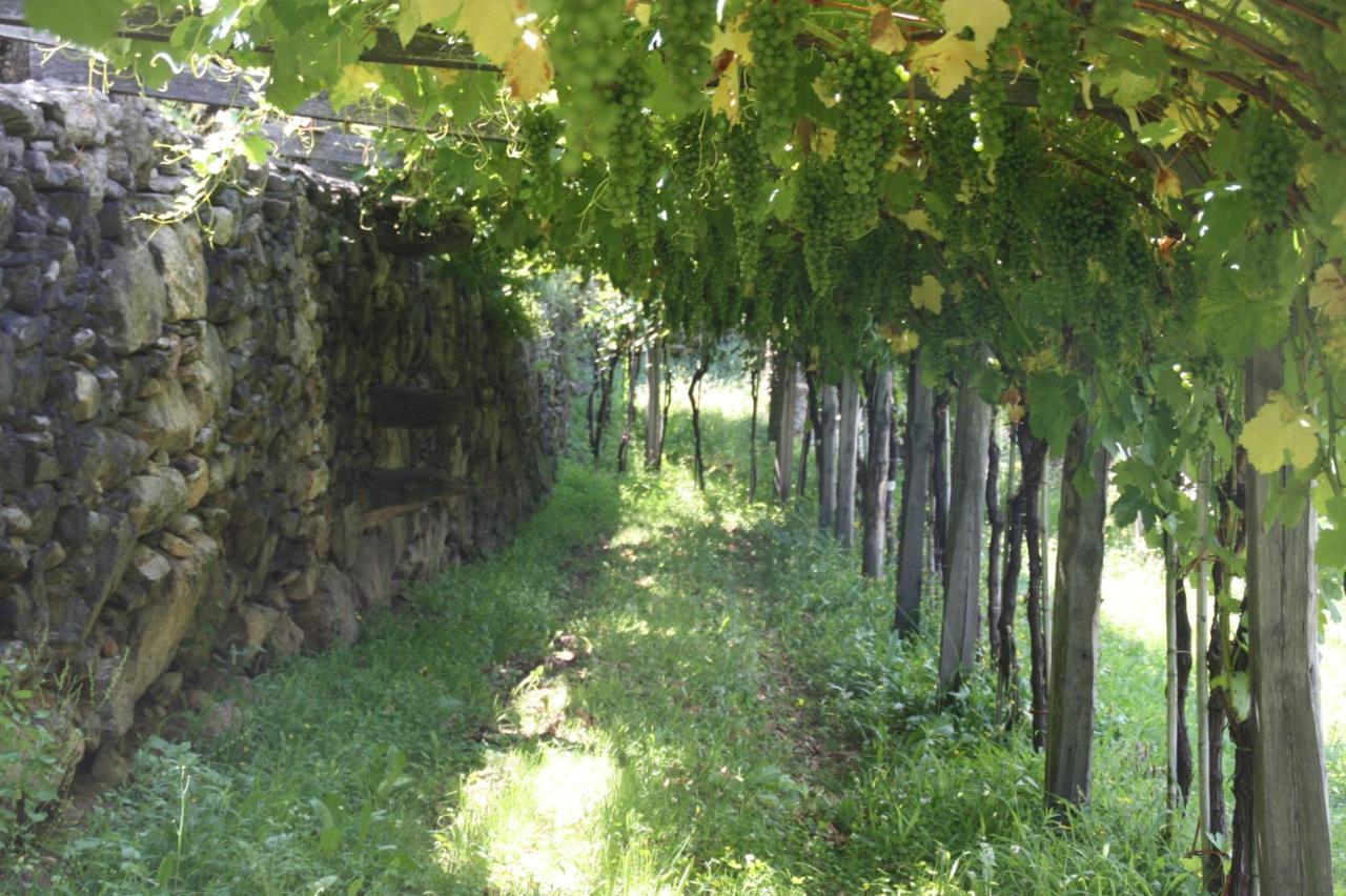 Relais del Brigante Bed & Breakfast Settimo Vittone Bagian luar foto